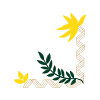 Greater Waterbury Ymca Other