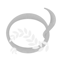 Illustration Other Illustration Other