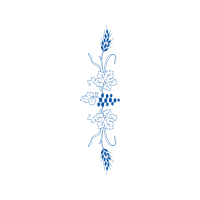 Illustration Other Illustration Other