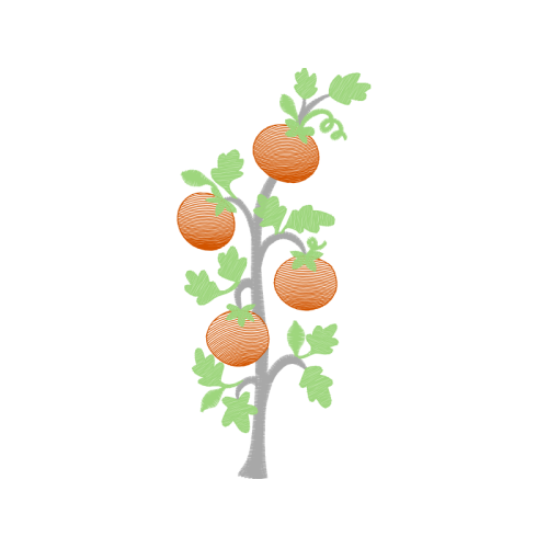 Illustration Other Illustration Other