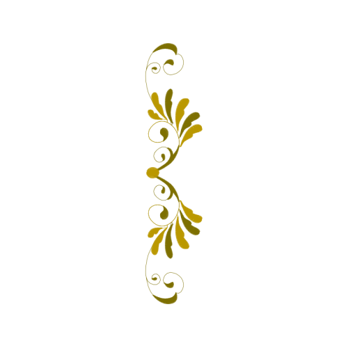 Illustration Other Illustration Other