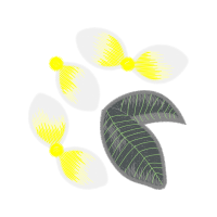 Illustration Other Illustration Other