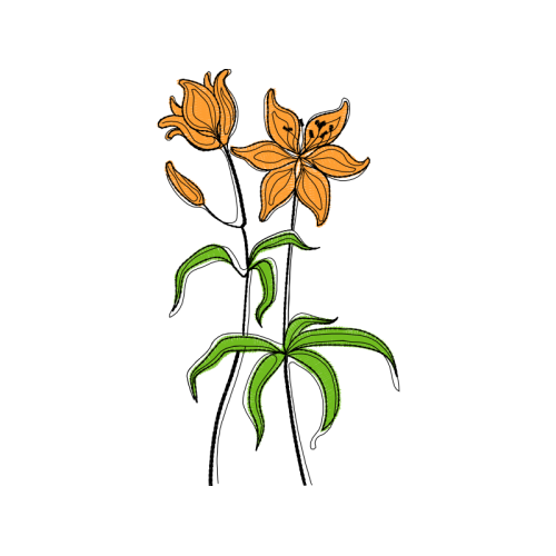 Illustration Other Illustration Other