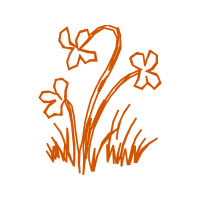 Illustration Other Illustration Other