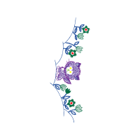 Illustration Other Illustration Other