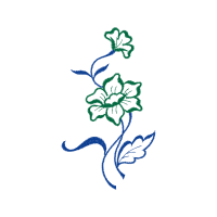 Illustration Other Illustration Other