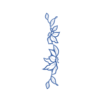 Illustration Other Illustration Other