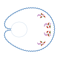 Illustration Other Illustration Other