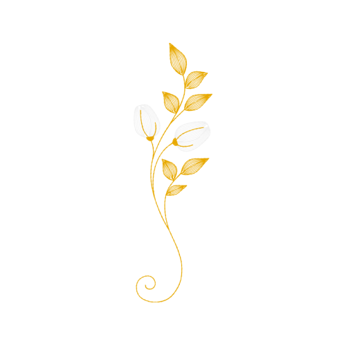 Illustration Other Illustration Other