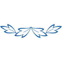 Illustration Other Illustration Other