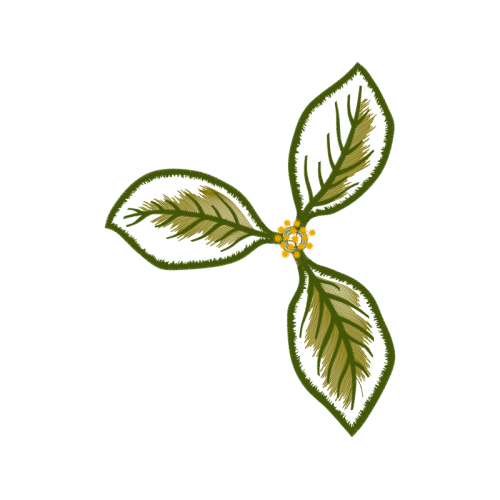 Illustration Other Illustration Other