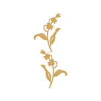 Illustration Other Illustration Other