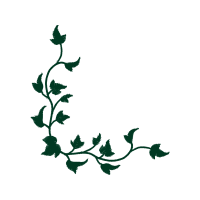 Illustration Other Illustration Other