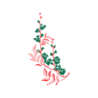 Illustration Other Illustration Other