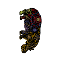 Illustration Other Illustration Other