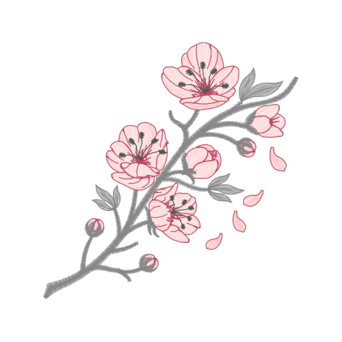 Japanese Camellia Other Japanese Camellia Other