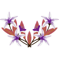 Lavender Other Lavender Other