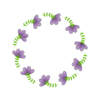 Leaf Other Leaf Other