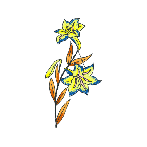 Lilies Other Lilies Other