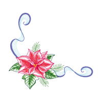 Lily Stargazer Other