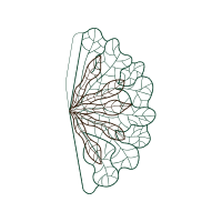 Line Art Other Line Art Other