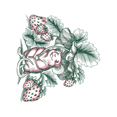 Line Art Other Line Art Other