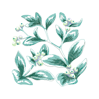 Line Art Other Line Art Other