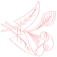 Line Art Other Line Art Other