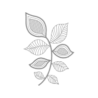 Line Art Other Line Art Other