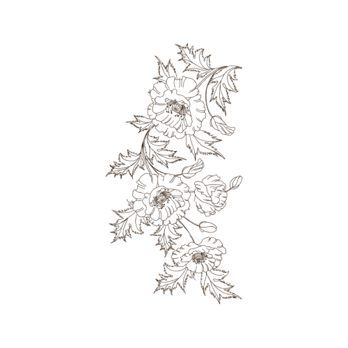 Line Art Other Line Art Other