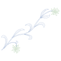 Line Art Other Line Art Other