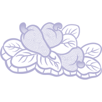 Line Art Other Line Art Other