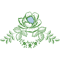 M 02Csf Other M 02Csf Other