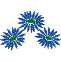 Meerut Other Meerut Other