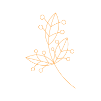 Meter Other Meter Other