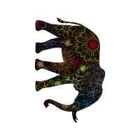 Monitor Lizards Other