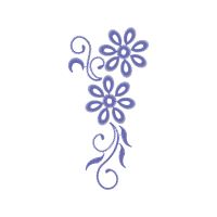 Motif Other Motif Other