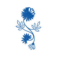 Motif Other Motif Other