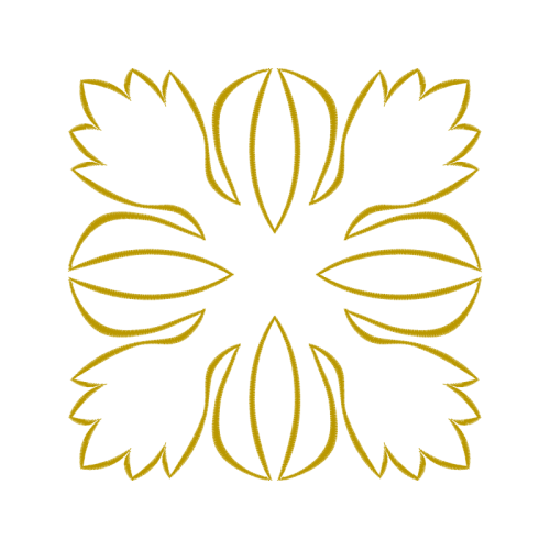 Motif Other Motif Other