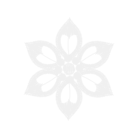 Motorola Other Motorola Other