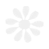 National Organization For Development Of Exceptional Talents Other National Organization For Development Of Exceptional Talents Other