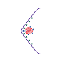 Necklace Other Necklace Other