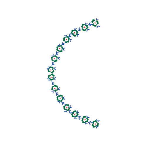 Necklace Other Necklace Other