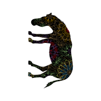 Nile Crocodile Other