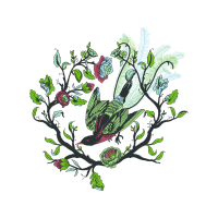 Oesd Other Oesd Other