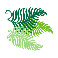 Ostrich Fern Other