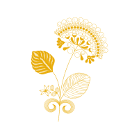 Pacific Community Other