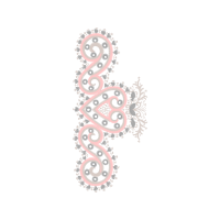 Paisley Other Paisley Other