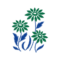 Palms Other Palms Other