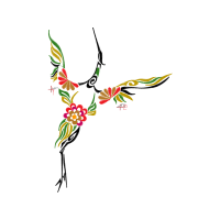 Parrots Other Parrots Other